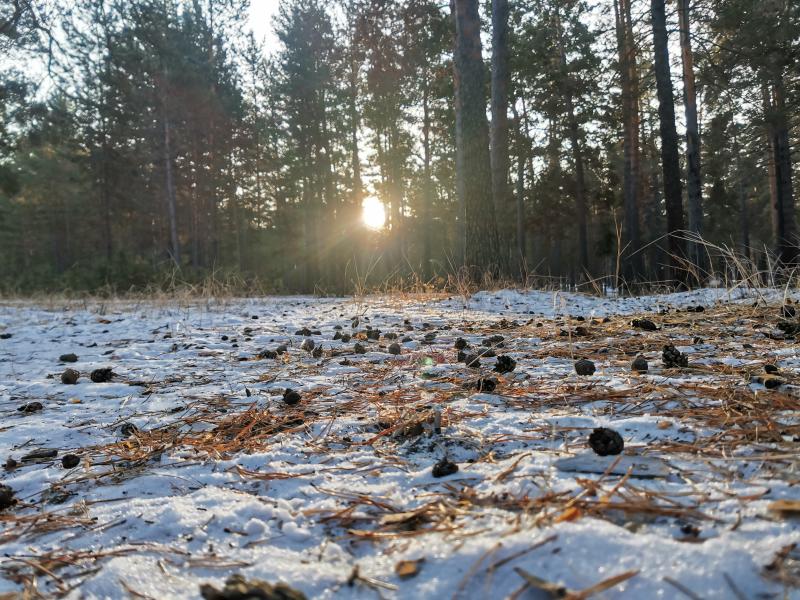 Самым тёплым днём будет суббота 18 марта. Фото 